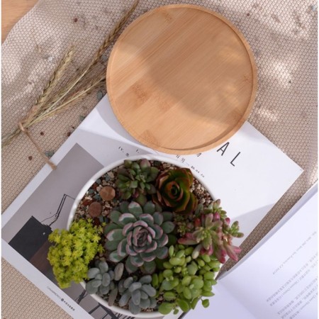 Pot "Eco Bonsai" Circle, 17x7cm, White-3