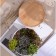 Pot "Eco Bonsai" Circle, 17x7cm, White