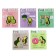 A notebook of 48 sheets in the avocado cage, covering cartoon, matte lamination Soft Touch, foil, mix