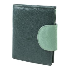 Cover for auto documents on the button, green color