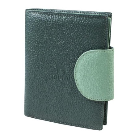 Cover for auto documents on the button, green color