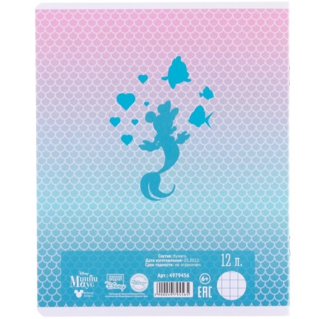 A set of notebooks 10 pieces, 12 sheets, in a cage, cover coated cardboard, Minnie Mouse-4