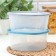 Container for products with a measuring scale "Biofresh", 2.65 l, color mix