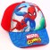 Baby cap for a boy, size 52-56, Spider-Man