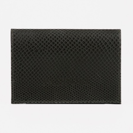 Cover for passport, olive color