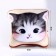 Antistress Pillow "Cat-Clay"