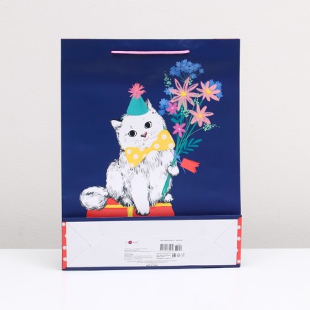 Gift package "Gift kitten" 33 x 42.5 x 10 cm-1