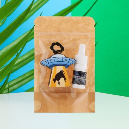 Car UFO suspension + aromatic blackcurrant 5 ml-2