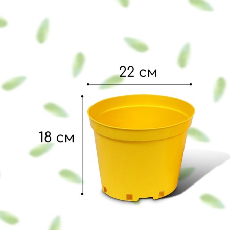 Pot for seedlings, 5 l, d = 22 cm, h = 18 cm, yellow, greengo-1