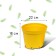 Pot for seedlings, 5 l, d = 22 cm, h = 18 cm, yellow, greengo