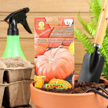 Large -fruited pumpkin seeds "honey dessert", 1 g