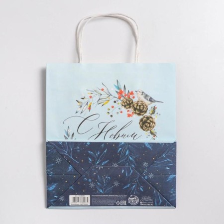 Package Gift Crafts "Frosty Morning", 22 x 25 x 12 cm, New Year-4
