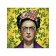 Organizer in a bath on suction cups "Mysterious Frida", for storing toys and trifles, size 33x39 cm