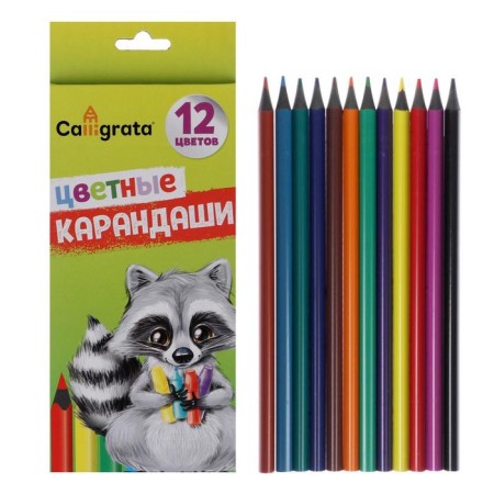Pencils are colored sharpened, 12 colors, in a cardboard box