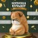 The piggy bank "Boldog with manual painting" Height 17 cm, width 16 cm, length 18 cm.