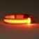 Collar with backlight double strip size m, osh 40-48 x 2.5 cm, 3 glow modes Orange