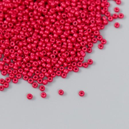 Glass beads 12/0 "Rubin wine" 15 grams
