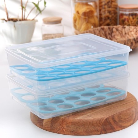 Egg storage container, 20 cells, 27.5 × 22 × 7 cm, color mix-9