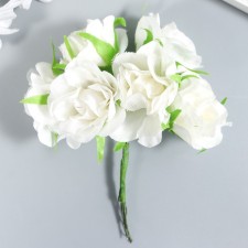 Flowers for decorating 