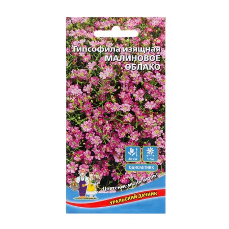Gypsophyla flowers elegant "raspberry cloud", 0, 1 g,