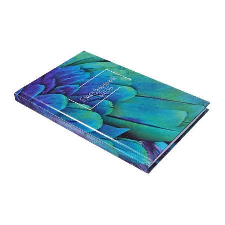 Delivery of a low -up a5, 128 sheets "exotic", solid cover, glossy lamination-18