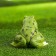 Garden figure "Frog" Malaya, 14x20x18cm