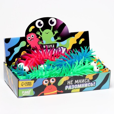 Anthistress Mollusias "Multicapons", in Showbox-4