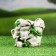 Figure Kashpo "Stone with Lizards" 17x15x15cm
