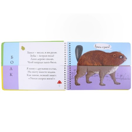 Book of Crane "Forest Animals"-3