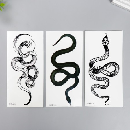 Tattoo on the body Black "Snake" mix 14x7 cm