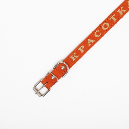 Collar leather single-layer, embossed "beauty", 48 x 2 cm, Osh 32-43 cm, mix of flowers-5