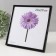Photo frame plastic LIDA 20x20 cm black