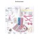 Create the doll "Klava" set