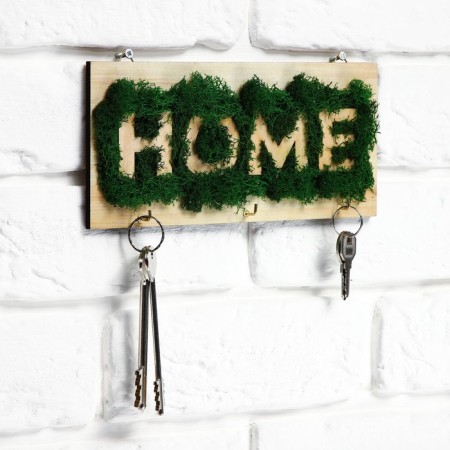 The keyrean is wall -mounted with moss "Home".-1