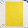 Cardboard of color A4, 8 sheets 8 flowers non -unilateral “September 1: Smart raccoon”