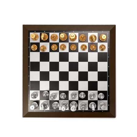 Magnetic chess 39 x 39 cm, King H-8 cm, Pig H-4.3 cm-1