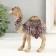 Polystone souvenir "Desert camel with a blanket" 11.7x4.7x13.5 cm