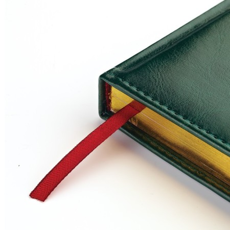 Diary Leduced A5+, 136 sheets of Sidney Nebraska, solid cover, artificial leather, gold cut, golden corners, blue-3