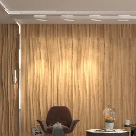 A track lamp for a low -speed busbard is dimmed with the remote control remote control. Flum, 24W, LED, 43x250x231 mm, white color-5