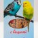 SEVEN SEEDS sticks for parrots with cherries, 3 pcs, 90 g