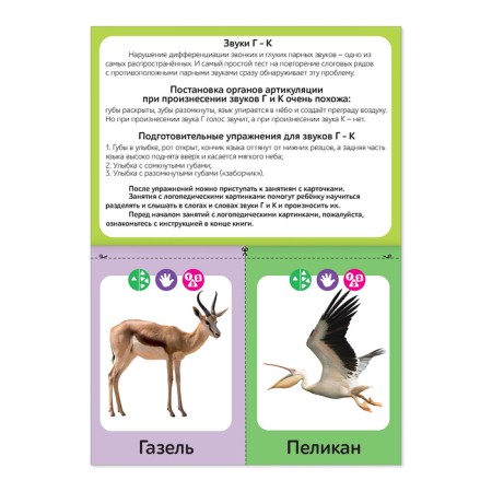 The teaching book “Speech therapy Pictures. Sound g ok ”, 24 p.-1