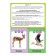 The teaching book “Speech therapy Pictures. Sound g ok ”, 24 p.