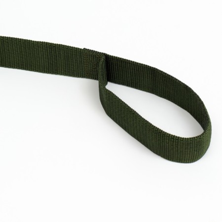 Leash 3 m x 4 cm, green-2