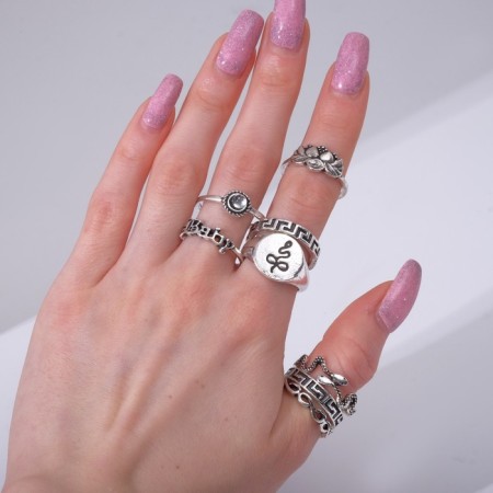 Ring set 8 pieces "Nature", size mix, color black silver-2