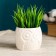 Pot "Eco Oblushka" 8x6.5cm