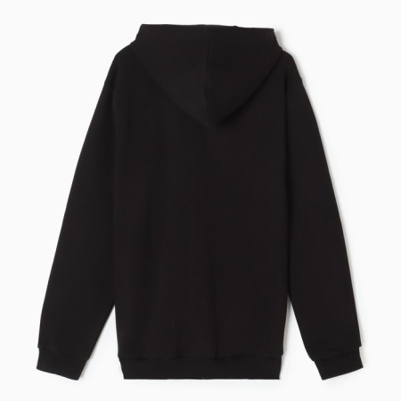 Sweatshirt with the basis, the color is black, size 46-3