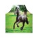 Apron kitchen with a photo print "Horse on a walk", adjustable, size OS