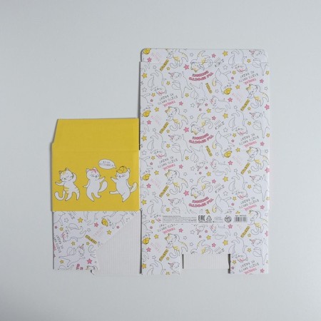 Box - Penal, Gift packaging, “Dance!”, 22 x 15 x 10 cm-6