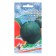 Watermelon seeds "Haughty Sugar", 10 pcs