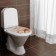 The toilet seat with a lid Rossplast "Shells on the sand", 54x37cm, white color